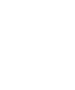USA map icon